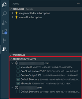 Screenshot that shows the Accounts & Tenants view