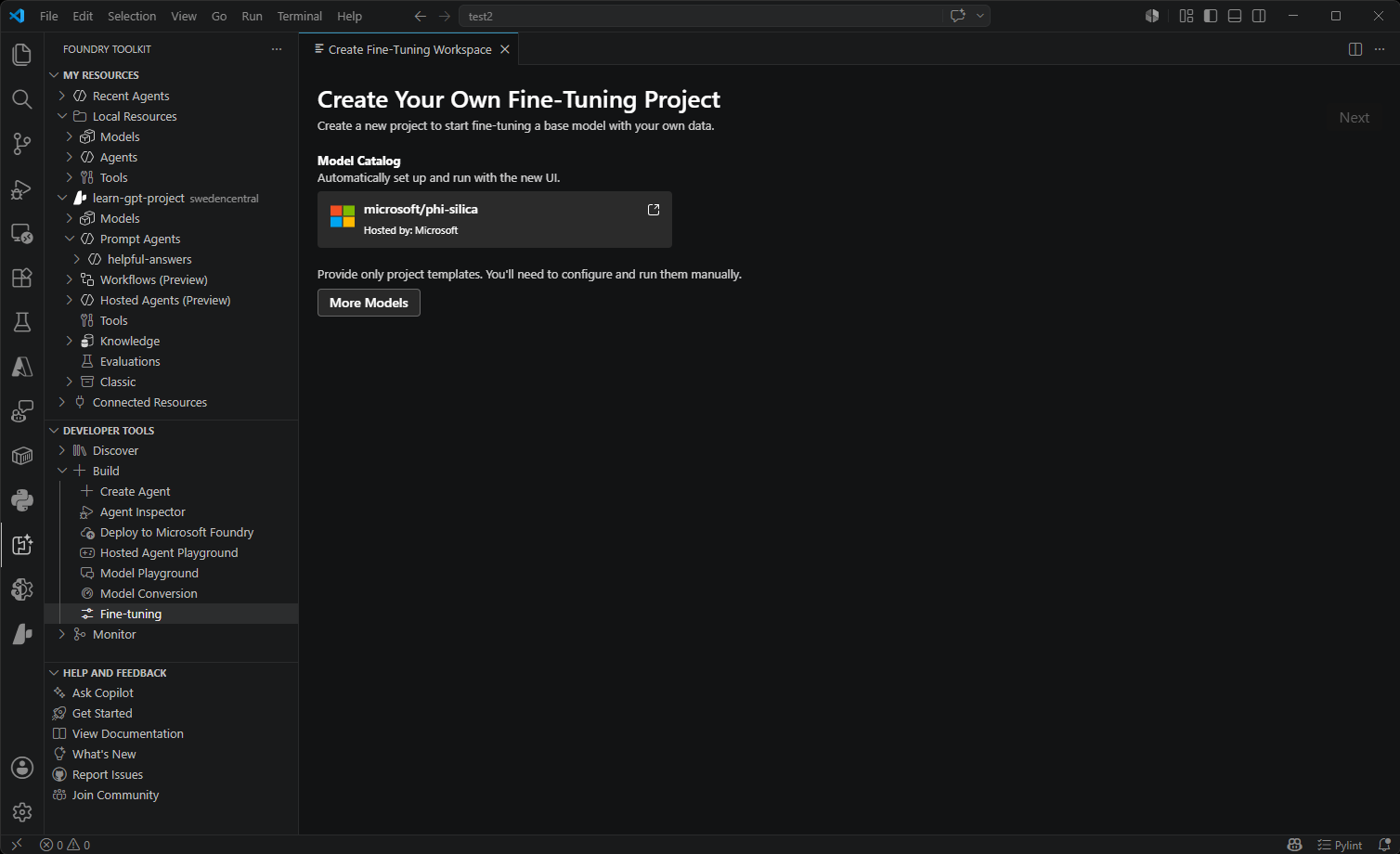 Screenshot showing the Fine-tuning interface with model adaptation and training controls